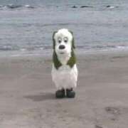 ヒメ日記 2025/02/09 21:14 投稿 りん いざ候 別館