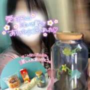 ヒメ日記 2025/03/24 19:24 投稿 りん いざ候 別館