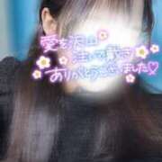 ヒメ日記 2025/03/31 00:14 投稿 りん いざ候 別館