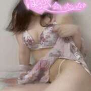 ヒメ日記 2025/04/01 11:24 投稿 りん いざ候 別館