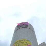 ヒメ日記 2025/04/03 16:26 投稿 りん いざ候 別館