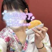 ヒメ日記 2025/04/06 20:24 投稿 りん いざ候 別館