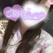 ヒメ日記 2025/04/20 10:04 投稿 りん いざ候 別館