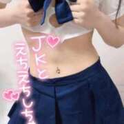 ヒメ日記 2025/04/24 11:18 投稿 りん いざ候 別館