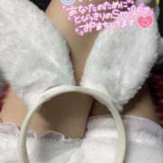 ヒメ日記 2025/04/26 13:08 投稿 りん いざ候 別館