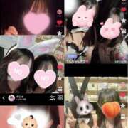 ヒメ日記 2025/04/28 18:24 投稿 りん いざ候 別館