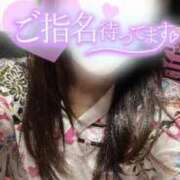 ヒメ日記 2025/06/24 16:04 投稿 りん いざ候 別館