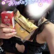 ヒメ日記 2025/06/26 23:44 投稿 りん いざ候 別館