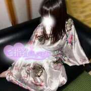 ヒメ日記 2025/06/29 12:44 投稿 りん いざ候 別館