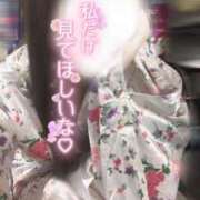 ヒメ日記 2025/06/29 13:14 投稿 りん いざ候 別館