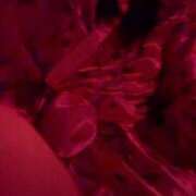 ヒメ日記 2025/07/03 19:44 投稿 りん いざ候 別館