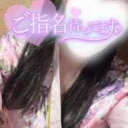 ヒメ日記 2025/07/16 11:14 投稿 りん いざ候 別館