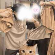 ヒメ日記 2025/07/22 22:35 投稿 りん いざ候 別館