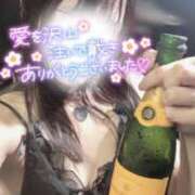 ヒメ日記 2025/07/24 23:34 投稿 りん いざ候 別館