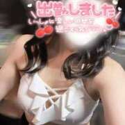 ヒメ日記 2025/08/18 13:14 投稿 りん いざ候 別館