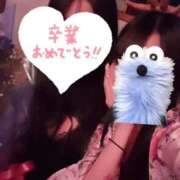 ヒメ日記 2025/09/01 14:34 投稿 りん いざ候 別館