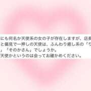 ヒメ日記 2025/09/01 18:04 投稿 りん いざ候 別館