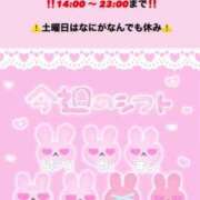 ヒメ日記 2025/09/02 08:14 投稿 りん いざ候 別館
