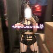 ヒメ日記 2025/09/04 15:14 投稿 りん いざ候 別館