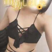 ヒメ日記 2025/09/08 18:04 投稿 りん いざ候 別館