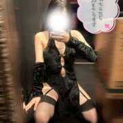 ヒメ日記 2025/09/11 18:47 投稿 りん いざ候 別館