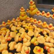 ヒメ日記 2025/09/16 21:34 投稿 りん いざ候 別館