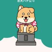 ヒメ日記 2025/09/22 11:54 投稿 りん いざ候 別館