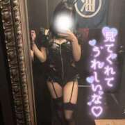 ヒメ日記 2025/09/27 18:54 投稿 りん いざ候 別館