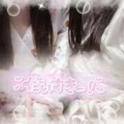 ヒメ日記 2025/10/06 23:14 投稿 りん いざ候 別館