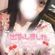 ヒメ日記 2025/10/08 17:44 投稿 りん いざ候 別館