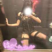 ヒメ日記 2025/10/16 17:54 投稿 りん いざ候 別館