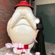 ヒメ日記 2025/10/23 13:14 投稿 りん いざ候 別館