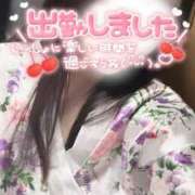 ヒメ日記 2025/11/12 18:14 投稿 りん いざ候 別館