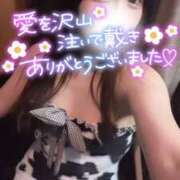 ヒメ日記 2025/11/20 23:54 投稿 りん いざ候 別館