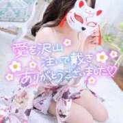 ヒメ日記 2025/12/15 23:54 投稿 りん いざ候 別館