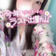 ヒメ日記 2025/12/31 12:04 投稿 りん いざ候 別館