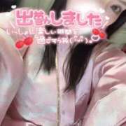 ヒメ日記 2026/01/04 17:04 投稿 りん いざ候 別館