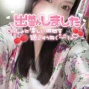 ヒメ日記 2026/01/12 18:14 投稿 りん いざ候 別館