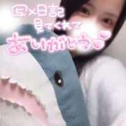 ヒメ日記 2026/02/10 20:14 投稿 りん いざ候 別館