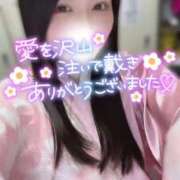 ヒメ日記 2026/02/25 23:37 投稿 りん いざ候 別館