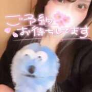 ヒメ日記 2026/03/22 10:05 投稿 りん いざ候 別館