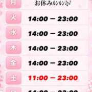 ヒメ日記 2026/03/23 16:54 投稿 りん いざ候 別館