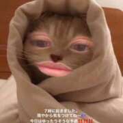 ヒメ日記 2026/03/25 13:34 投稿 りん いざ候 別館