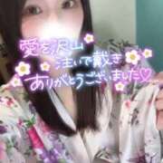 ヒメ日記 2026/03/30 23:44 投稿 りん いざ候 別館