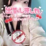 ヒメ日記 2026/04/07 13:54 投稿 りん いざ候 別館