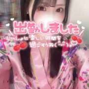 ヒメ日記 2026/04/24 18:04 投稿 りん いざ候 別館
