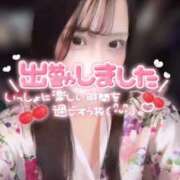 ヒメ日記 2026/05/31 11:21 投稿 りん いざ候 別館