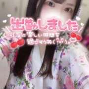 ヒメ日記 2026/06/30 16:12 投稿 りん いざ候 別館