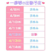 ヒメ日記 2025/04/08 10:17 投稿 もあ ハピネス東京