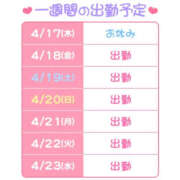 ヒメ日記 2025/04/17 13:47 投稿 もあ ハピネス東京